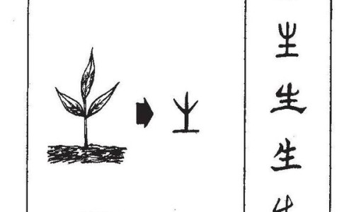 女生爱出油出汗什么原因-女生爱出汗的好处网 - 女生爱出汗是好事还是坏事,女生爱出汗是什么原因
